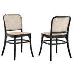 Chaises de salle à manger d'appoint en rotin gris/noir, lot de 2